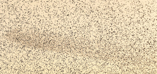 Starlings - Ham Wall, Somerset, UK. ID JB5_5506