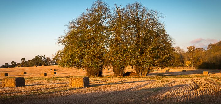 Autumn Hay Bales - Grove Cross, Nr Castle Cary, Somerset, UK. ID 808_1908