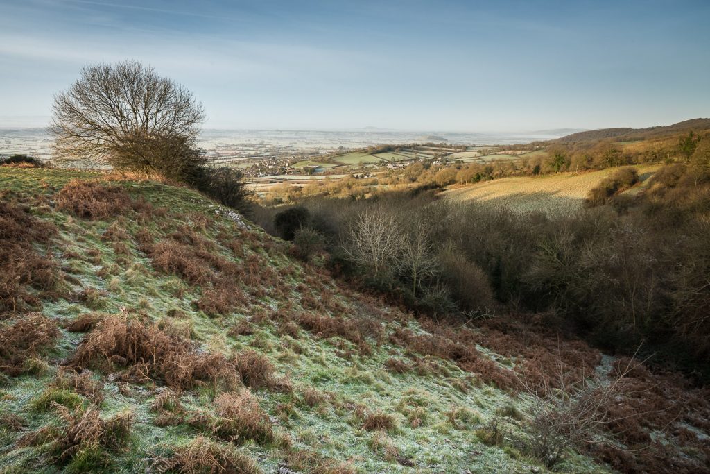 The Combe in Winter - Lynchcombe, Somerset, UK. ID 808_8843