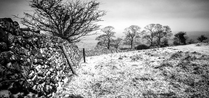 Fields trees dry stone walls and snow - Cooks Fields and Lynchcombe, Somerset, UK. ID 809_9006