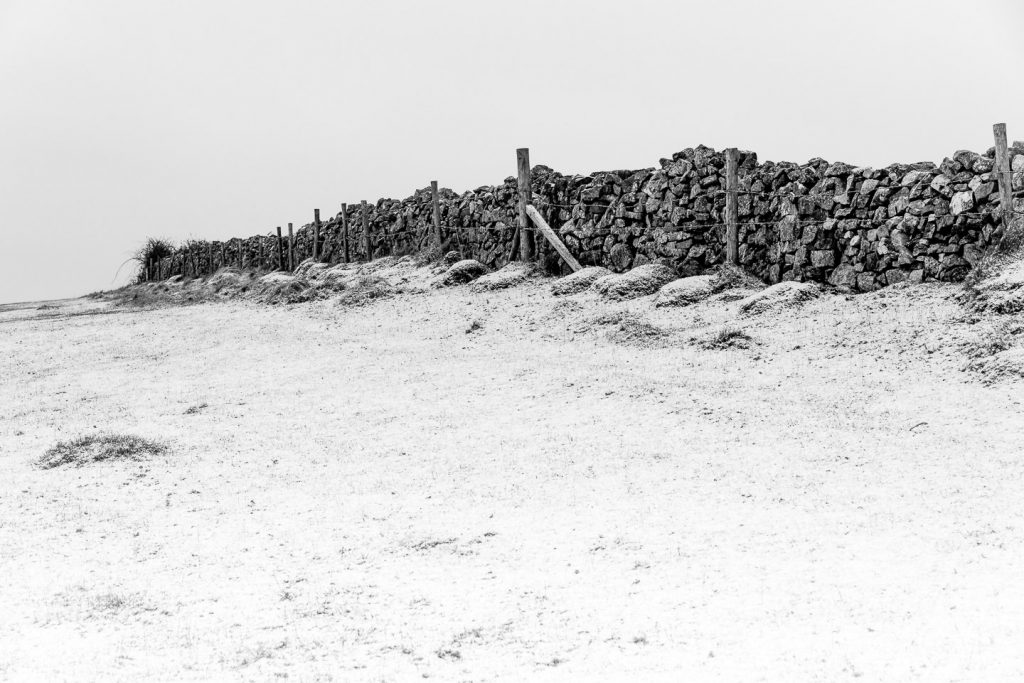 Fields trees dry stone walls and snow - Cooks Fields, Somerset, UK. ID 809_9063