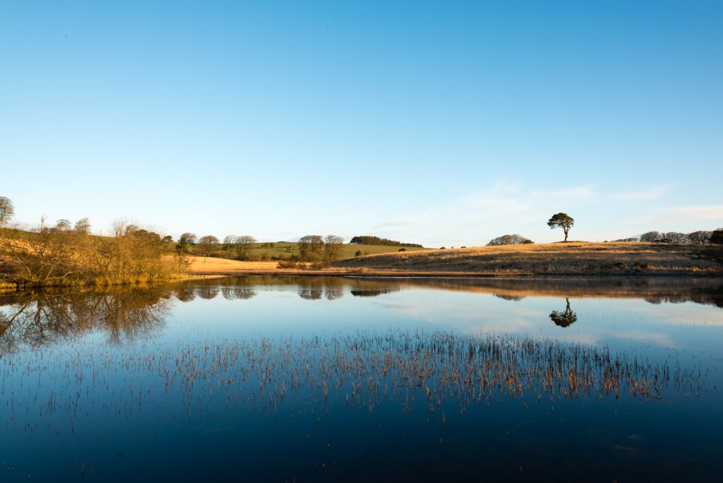 Waldegrave Pond Reflections - Mendip Hills, Somerset, UK. ID 807_1665