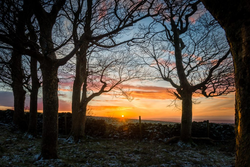Sunrise at Cooks Fields - Mendip Hills, Somerset, UK. ID 824_1719