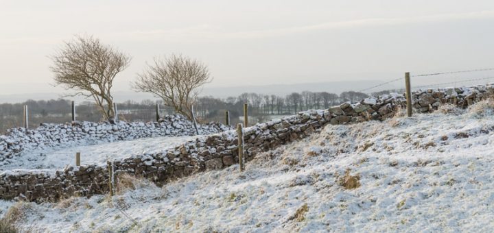 First snow of winter - North Hill, Mendips, Somerset, UK. ID 824_1999