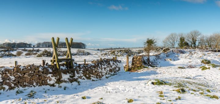 Winter at Ubley Warren - Mendip Hills, Somerset, UK. ID 824_3907