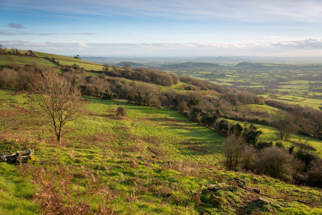 Views across Lynchcombe showing the Lynchets