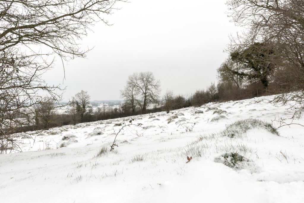 Yarley Fields in Winter - Wookey Parish, Somerset, UK. ID 825_3663