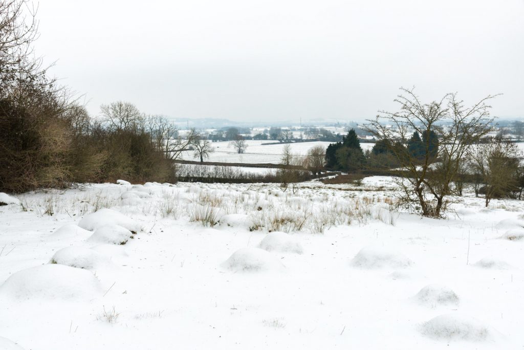 Yarley Fields in Winter - Wookey Parish, Somerset, UK. ID 825_3703