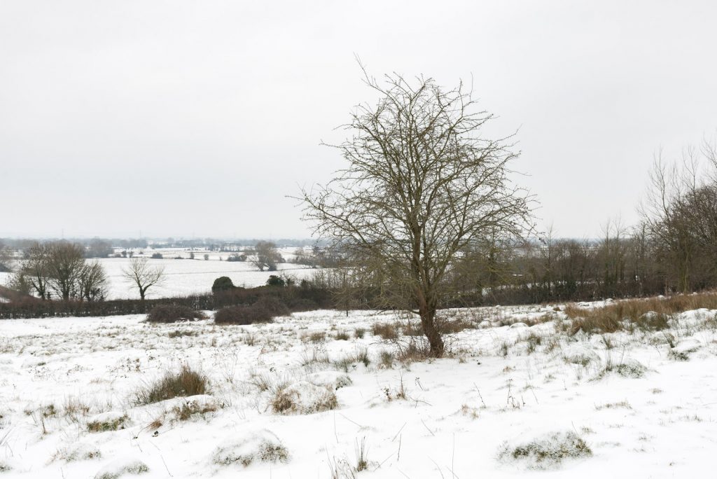 Yarley Fields in Winter - Wookey Parish, Somerset, UK. ID 825_3800