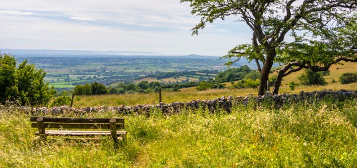 View from a picnic bench - Deerleap, Somerest, UK. ID DSC_3260
