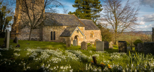 St Nicholas Church - Bratton Seymour, Somerset, England. ID 825_1384