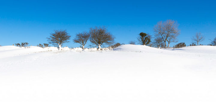 Mendips in snow - Above Wells, Somerset, UK. ID IMG_1399