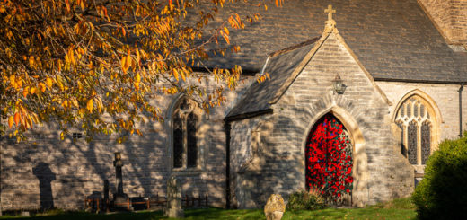 The Church of the Blessed Virgin Mary - Shapwick, Somerset, K. ID JB1_1325