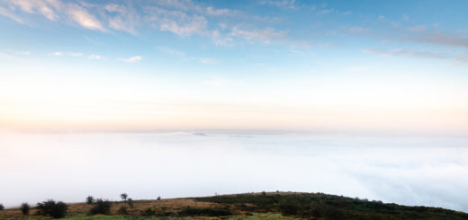 Somerset Levels in the Mist - From Crook Peak, Mendip Hills, Somerset, UK. ID JB1_2678