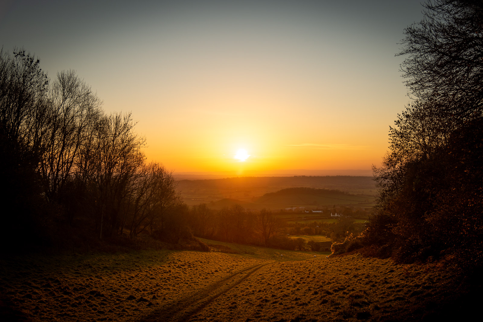 Sunset down the combe - Lynchcombe, Mendip Hills, Somerset, UK. ID JB1_8824