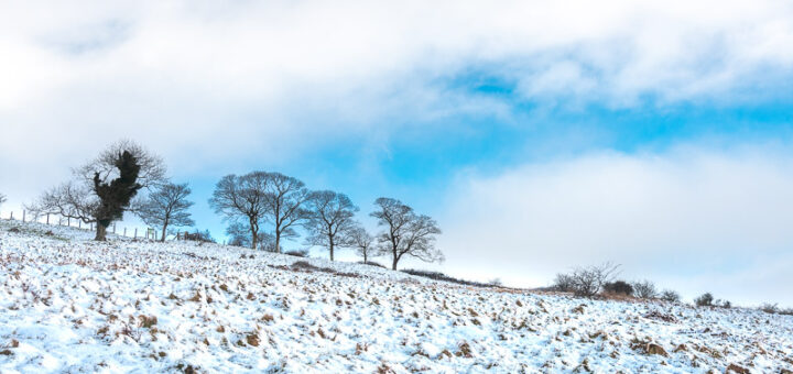 Snow - Lynchcombe, Mendip Hills, Somerset, UK. ID JB1_2920