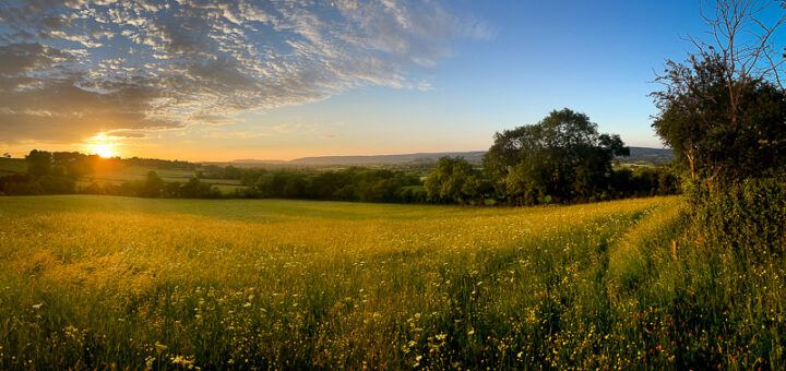 Summer Sunset - Bagley, Somerset, UK. ID IMG_3727