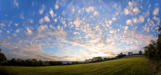 Sunrise at Bagley Fields - Nr Wedmore, Somerset, UK. ID BR55808P