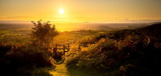 Autumn Equinox - Lynchcombe, Mendip Hills, Somerset, UK. ID BR57352