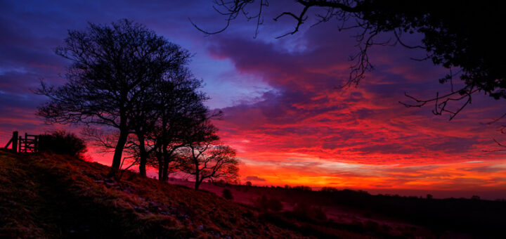Lynchcombe Sunrise - Mendip Hills, Somerset, UK. ID JB_7322