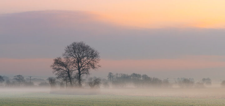 Dawn over Queen's Sedge Moor - Nr Glastonbury, Somerset, UK. ID JB_5012