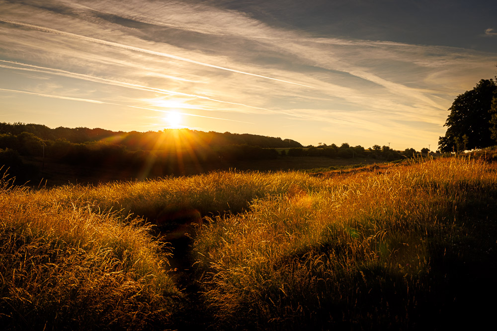 Early summer morning at Blackmoor - Mendip Hills, Somerset, UK. ID JB_3352H