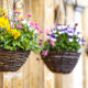 Flower Baskets - Montacute, Somerset, UK. ID JB_2609