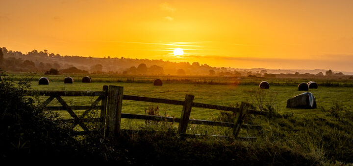 Dawn over Tealham Moor - Somerset Levels, UK. ID JB_9047
