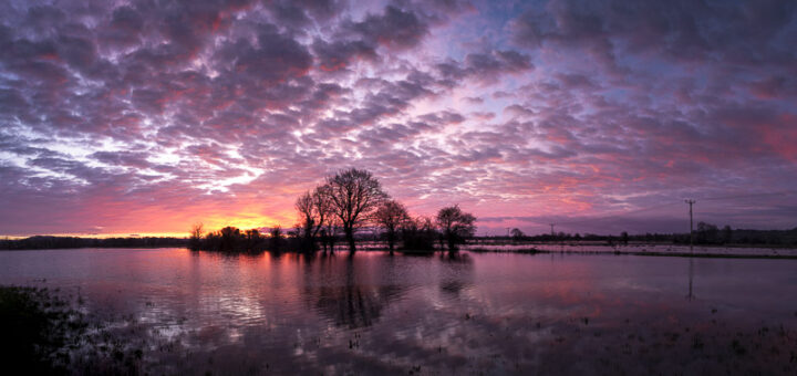 Dawn Skies - Queens Sedge Moor, Nr Glastonbury, Somerset, UK. ID JB_9847